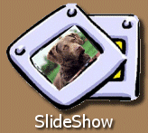 Start SlideShow...